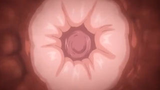 Thumbnail of post image 143