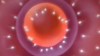 Thumbnail of post image 099