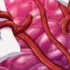 Thumbnail of related posts 148